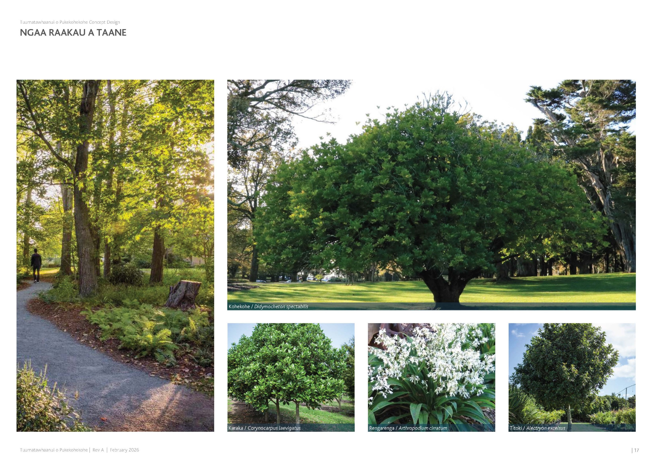 Image of representative tree planting