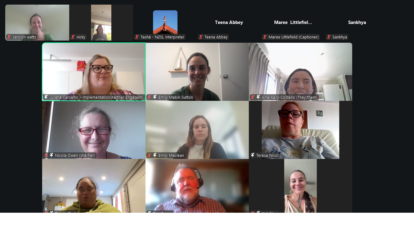 Screenshot of zoom meeting showing attendees