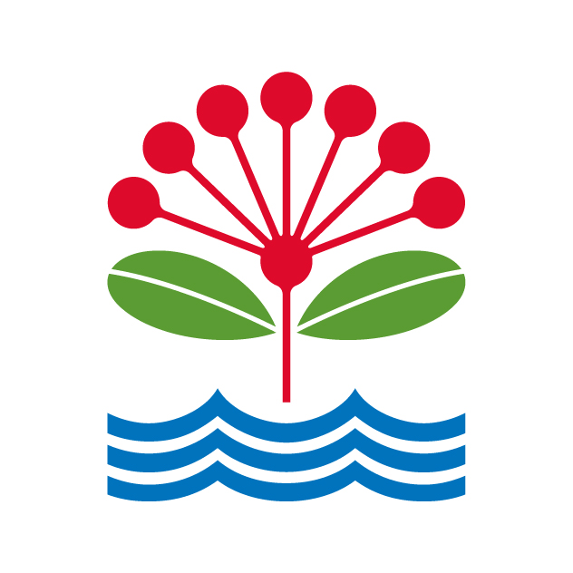 Senior Project Manager