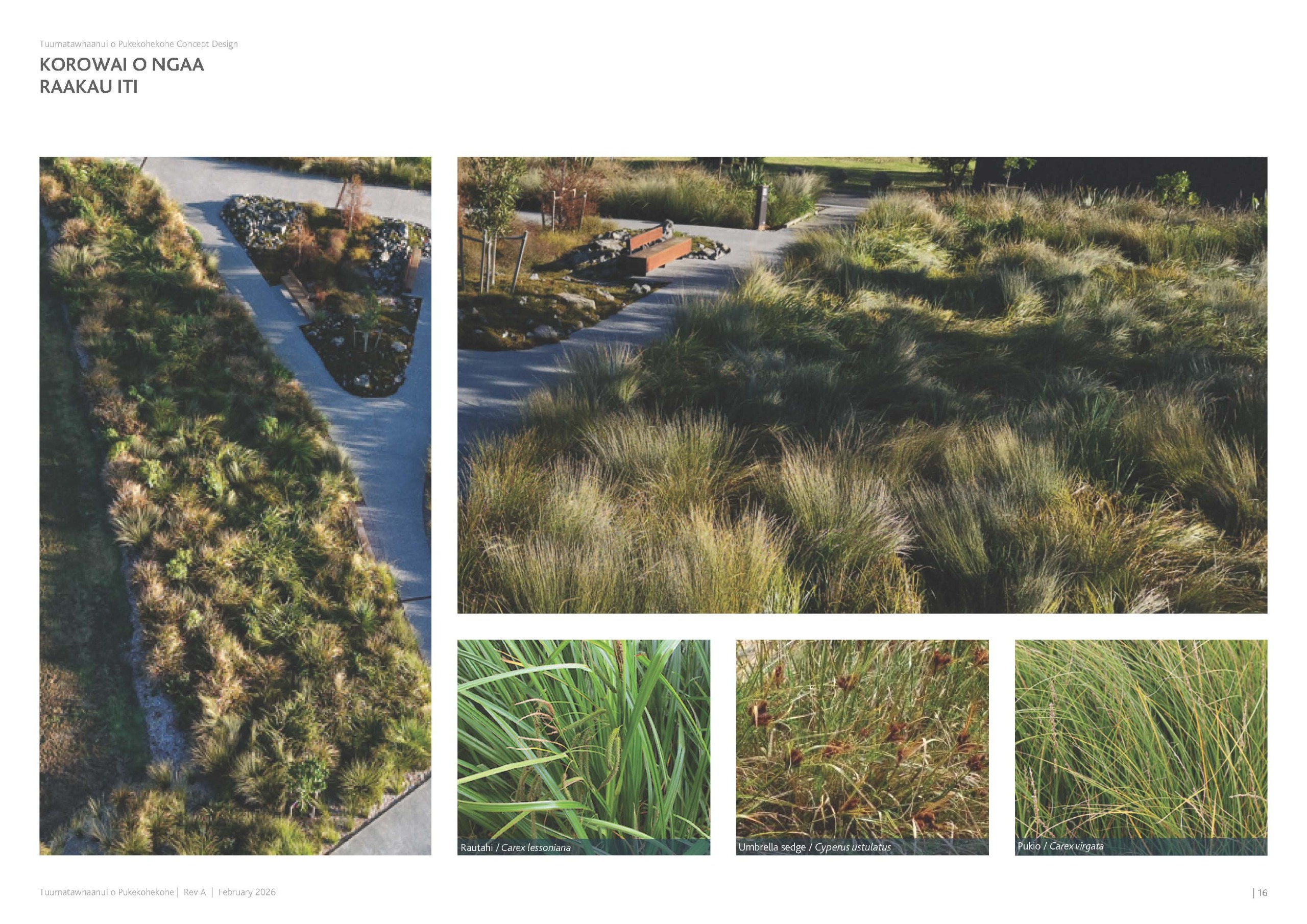 Image of representative low planting