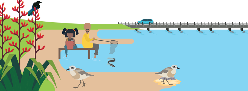 Illustration of an adult and a child fishing on a jetty. A bird is sitting on flax and two shorebirds stand on the sand and in a shallow tidal pool. In the background, a car is driving on a bridge above the water.
